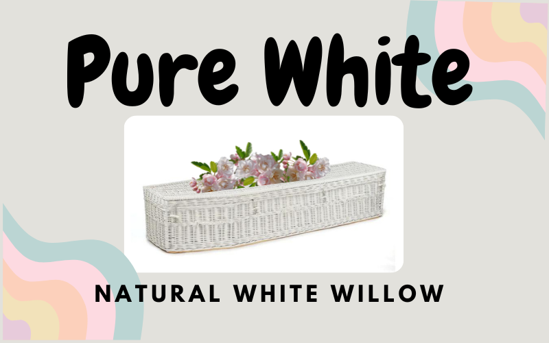 A clean fresh looking pure white willow coffin