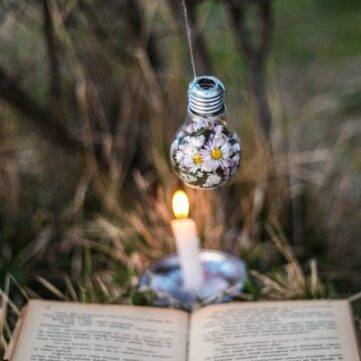 Photo by Sefa: https://www.pexels.com/photo/a-light-bulb-filled-with-daisies-hanging-over-an-opened-book-and-a-candle-14649990/