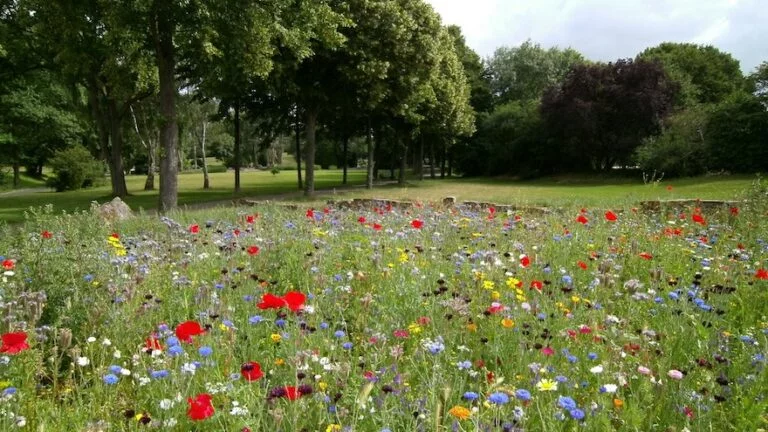 types of natural funeral grounds